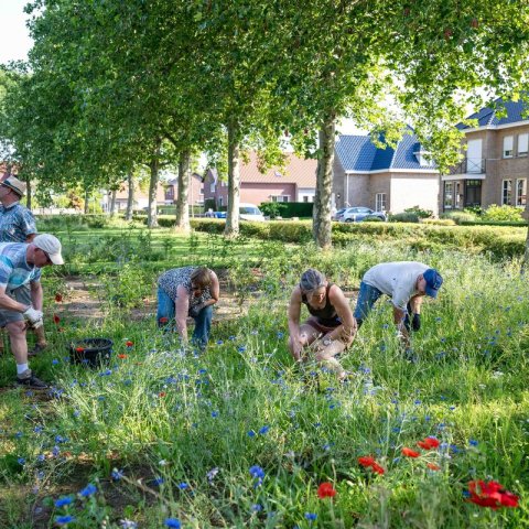 Vrijwilligers aan het werk in de vlindertuin. Foto Ilse Leijtens