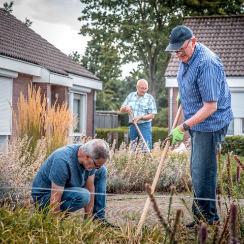 Drie senioren mannen schoffelen perkjes