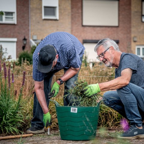 Twee senioren ontdoen de stoepranden van onkruid