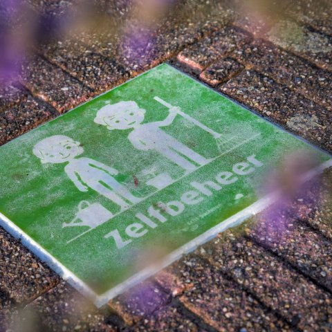 Groene stoeptegel met de tekst 'Zelfbeheer'